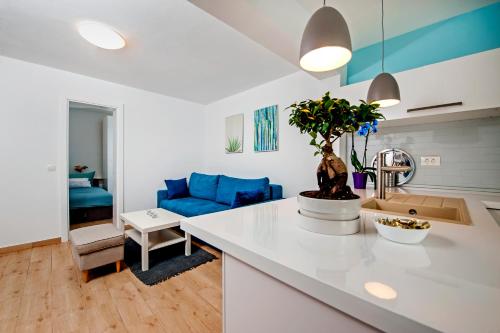 a kitchen with a white counter top and a blue couch at Little house - just few steps from the city center in Rovinj