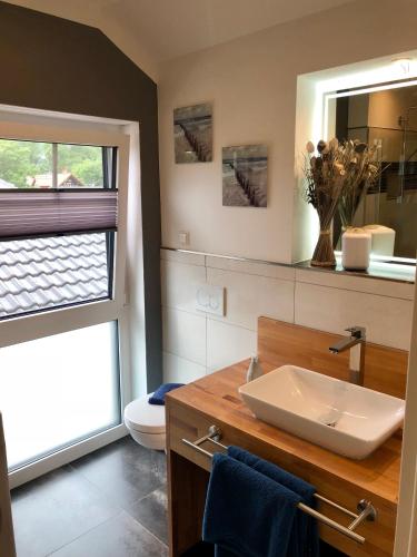 a bathroom with a sink and a toilet at Ferienhaus Traumspot in Wiek auf Rügen