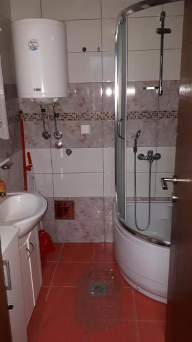 Kopalnica v nastanitvi Apartment Blagojevic