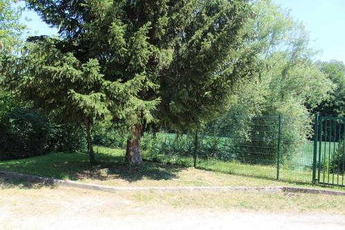 a tree in a yard next to a fence at HOTEL Chateau-Thierry Centre in Château-Thierry