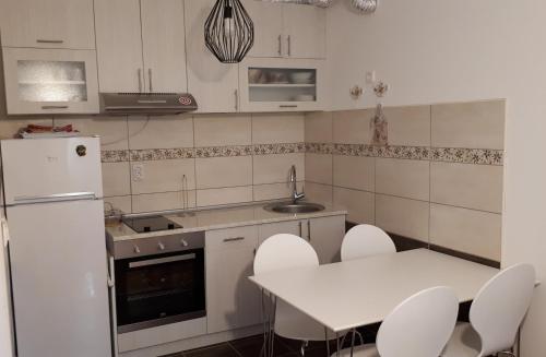 Kuhinja oz. manjša kuhinja v nastanitvi Apartment Blagojevic