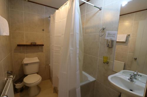 a bathroom with a toilet and a shower and a sink at Santa Maria Pucon in Pucón