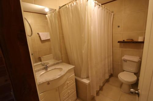 a bathroom with a sink and a toilet and a shower at Santa Maria Pucon in Pucón