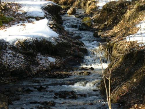 Un paisaje natural cerca de la casa de huéspedes