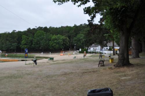 a park with a tree and people playing in it at Pod starymi lipami in Szczecin