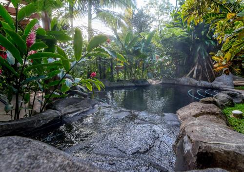 a pool of water in a garden with plants at Hotel El Silencio del Campo in Fortuna