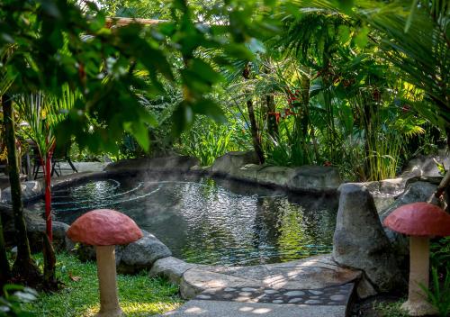 a pond in a garden with mushrooms in front of it at Hotel El Silencio del Campo in Fortuna
