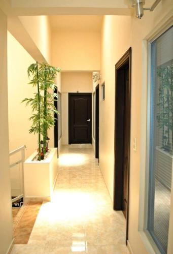 a hallway with a potted plant in a building at Hotel Victoria in Chinchiná