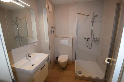 a bathroom with a sink and a shower and a toilet at Likedeeler Whg. 7 in Boltenhagen