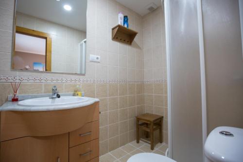 a bathroom with a sink and a toilet and a shower at casa La Trillera in Tornín