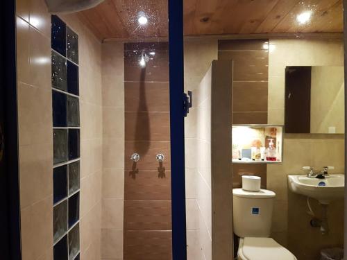 a bathroom with a shower and a toilet and a sink at Cabañas Yukatan Lago de Tota in Tota