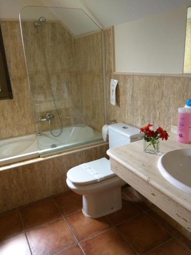 a bathroom with a toilet and a sink and a tub at Puente Canto de Gredos in Arenas de San Pedro