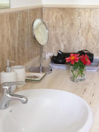 a bathroom sink with a mirror and a vase of flowers at Puente Canto de Gredos in Arenas de San Pedro