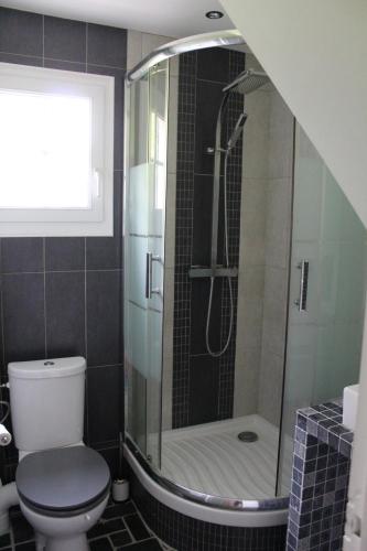 a bathroom with a shower and a toilet at Le Poule House in Guérard