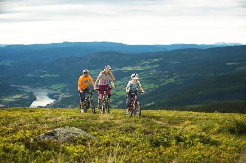 Ciclismo em GudbrandsGard Hyttegrend Kvitfjell ou nos arredores