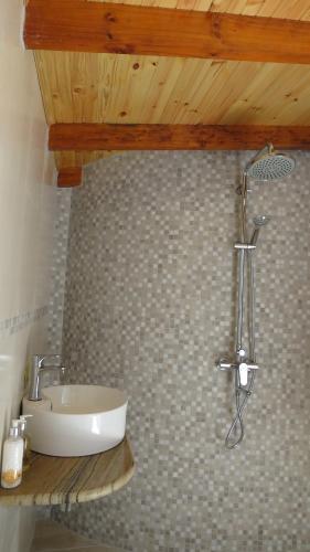 a bathroom with a sink and a shower at Royal Bay Apartment in Anse Royale