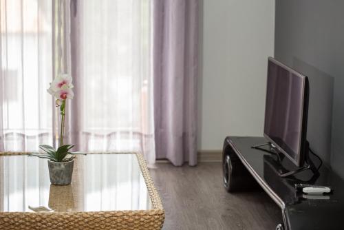 a living room with a tv and a table at Apartamentos Dacris in Jerte