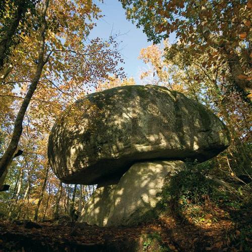 a large rock with a mushroom on top of it at Ti Gwen in Plonévez-du-Faou