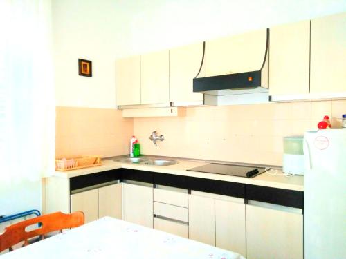Η κουζίνα ή μικρή κουζίνα στο Apartman Antulov Srima
