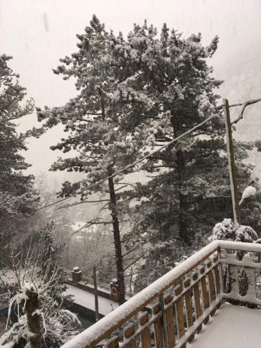 Το Els Apartaments del bosc τον χειμώνα