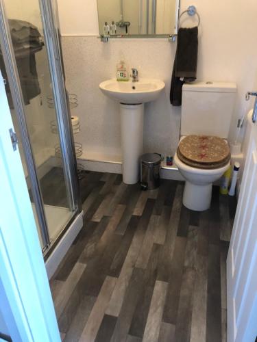 a bathroom with a toilet and a sink and a shower at Garden Oasis in Margate