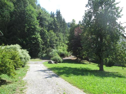 a dirt road with trees on both sides at Schloss Manndorf Gästehaus in Kötschach