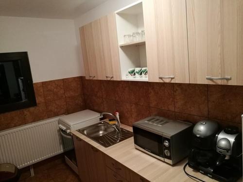 Kuchyň nebo kuchyňský kout v ubytování Pensiunea ,,Suciu"