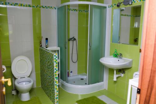 a bathroom with a toilet and a sink and a shower at Sklep u Malíků in Drnholec