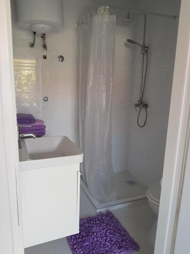 a bathroom with a shower and a sink and a toilet at VIGO apartman in Pula