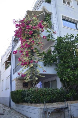 Preveza Breeze