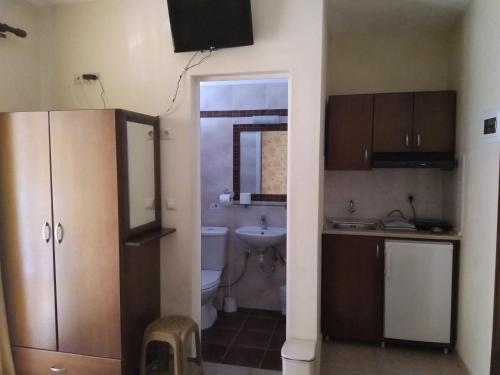 パラリア・カテリニスにあるHotel Villa Pigasosの洗面台とトイレ付きの小さなバスルーム