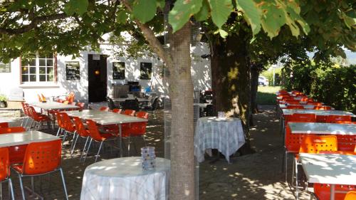 a group of tables and chairs under a tree at Hotel Restaurant Kreuz in Kaiserstuhl