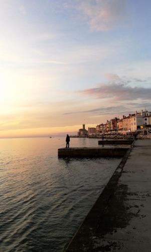 a person standing on a pier near the water at Apartments Igor in Piran