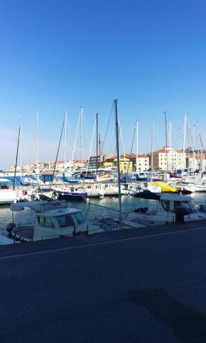 a bunch of boats are docked in a marina at Apartments Igor in Piran