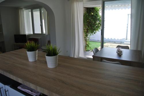 two potted plants sitting on top of a wooden table at L Abri-côtier Appartements in Saintes-Maries-de-la-Mer