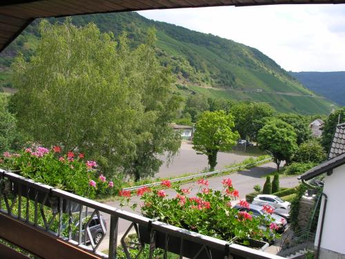 ブリーデルにあるWeingut & Gästehaus Meesの駐車場の景色を望むバルコニー(花付)