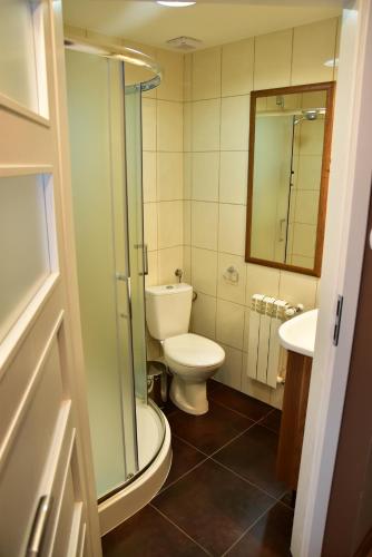 a bathroom with a toilet and a shower and a sink at Pokoje Gościnne Lech in Strzałkowo