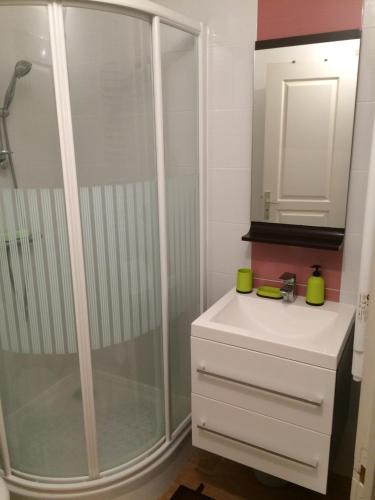 La salle de bains est pourvue d'une douche et d'un lavabo blanc. dans l'établissement Studio Centre Granville, à Granville