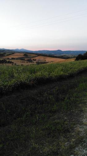 a field of grass with the sunset in the background at Agriturismo Uliveto Gretacci in Montemerano