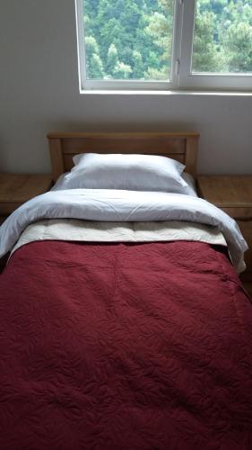 Postel nebo postele na pokoji v ubytování Guesthouse Gama in Khevsureti