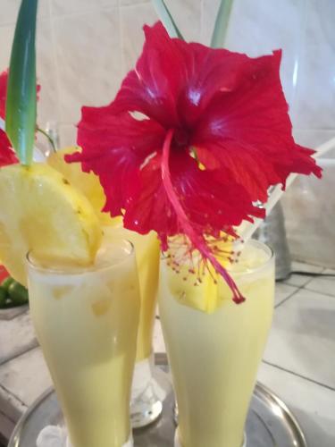 two glasses of drinks with a red flower in them at Hosteria Cumilinche in Same