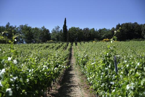 Jardin de l'établissement Podere Vignola