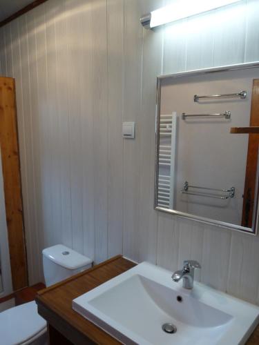 a bathroom with a sink and a mirror and a toilet at Chalet Le Bois Noir in Valdeblore