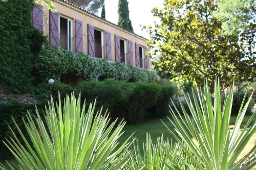 Athénopolis – Photos 5