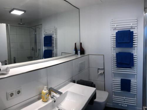a bathroom with a sink and a mirror and a toilet at Tor zum Meer in Helgoland