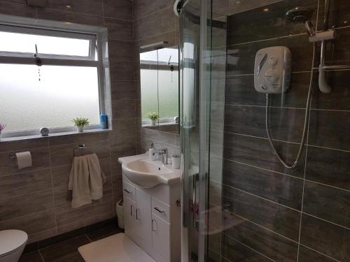 a bathroom with a shower and a sink at Greenside B&B in Westport