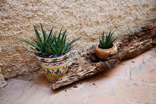 a pottery vase sitting on a brick wall next to a plant at Hotel Casa de los Arcos in Vélez Blanco