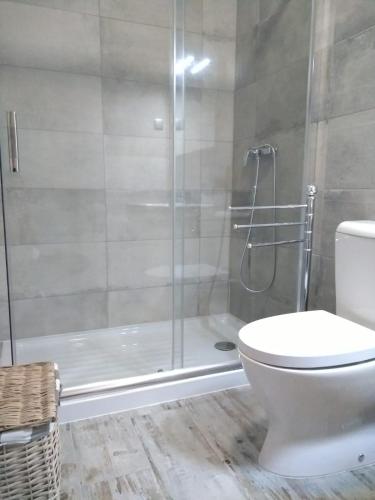 a bathroom with a toilet and a glass shower at Casa D.Dinis in Vide