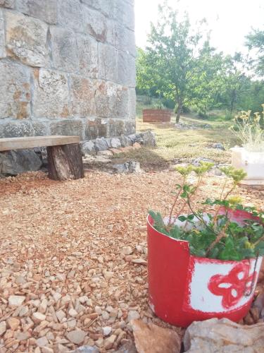 Taman di luar Holiday Home Jadrić