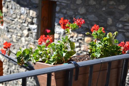a basket with red flowers on a balcony at Casa Rural Borda Marianet in Cerler